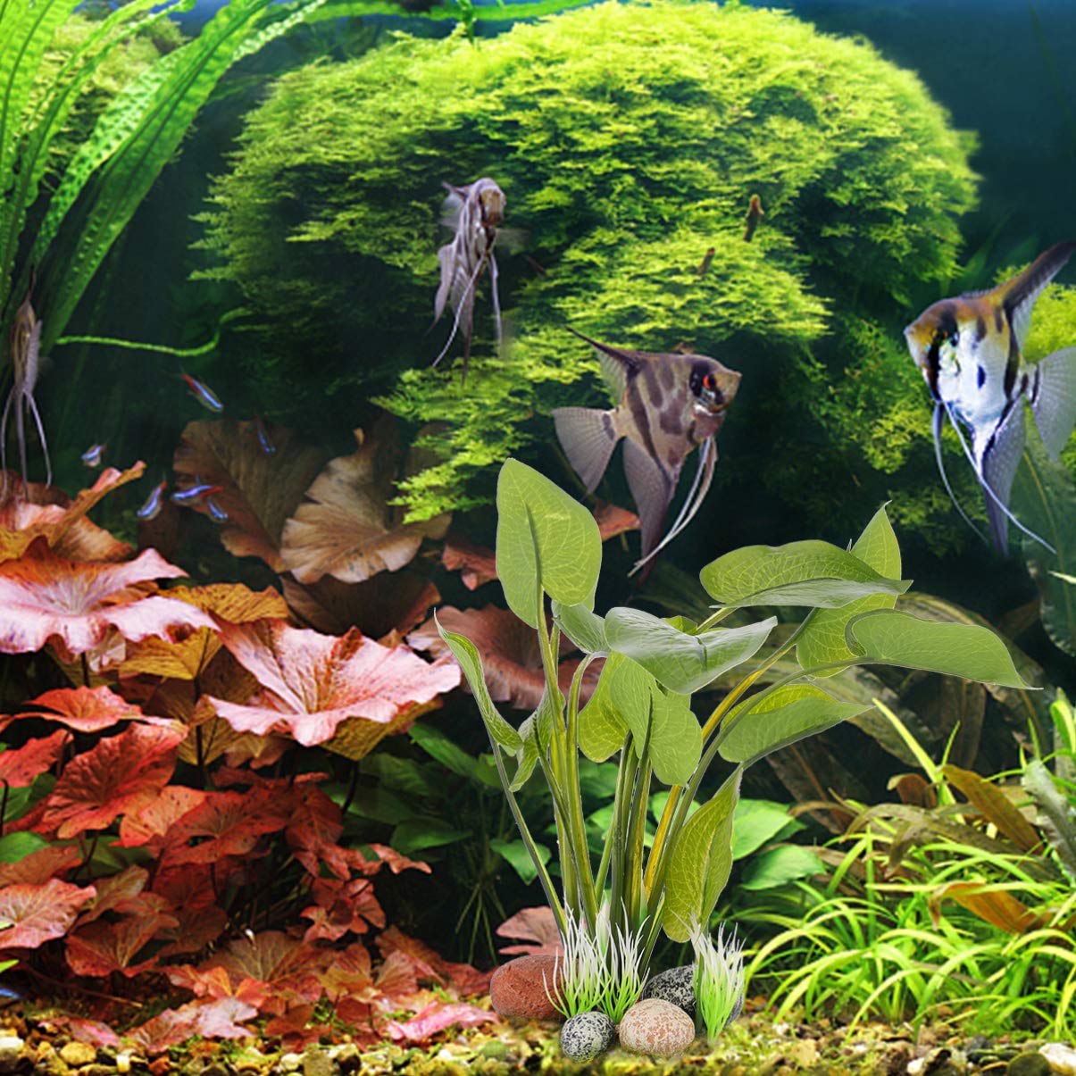 BESPORTBLE 2 Juegos De Hojas Artificiales Plantas De Césped Acuático Decoración De Plantas De Pecera Madera Flotante De Pared Falsas para Acuario Falsas Adornos para