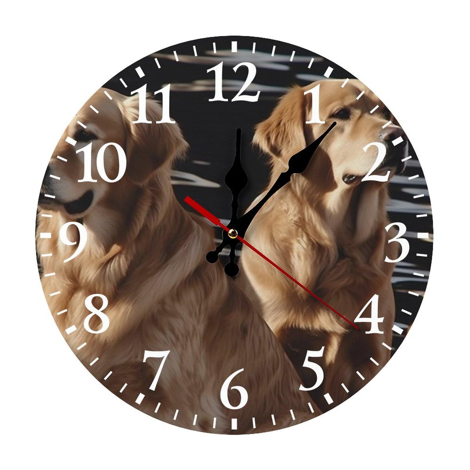 QMNLKH Golden Retrievers Wall Clock for Home, Battery Operated Clock for Hotel, Round Wall Clock with Arabic Numerals White, Easy to Read, Non-Ticking Clocks for Living Room 25 * 25cm