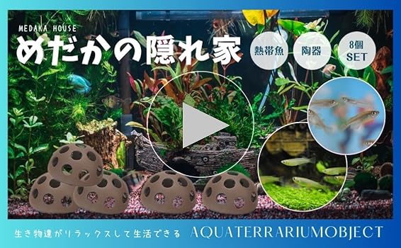 Amazon | Archnote メダカ 隠れ家 素焼き 陶器 水槽