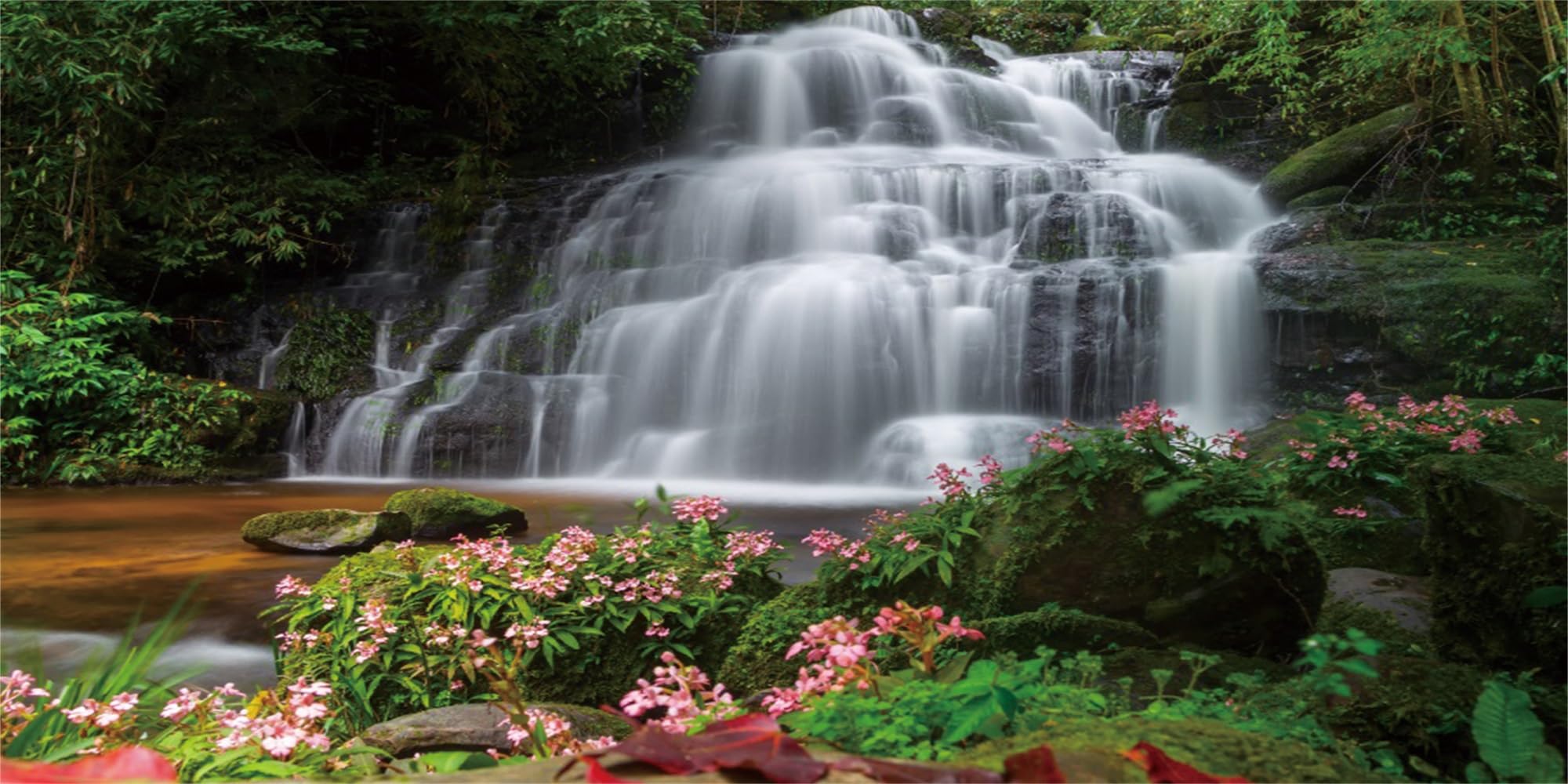 MIRRORANG 61x41cm Waterfall Aquarium Terrarium Background Nature Forest Green Plant Flowers Lake Fish Tank Background — image 1