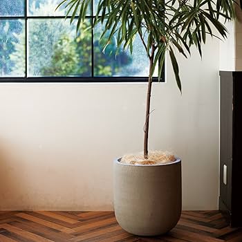 Amazon | 植木鉢 大型 モノ・ストーン バルゴ モノ S 33 ライトグレー | 鉢 Amazon | 植木鉢 大型 モノ・ストーン バルゴ モノ S 33 ライトグレー | 鉢