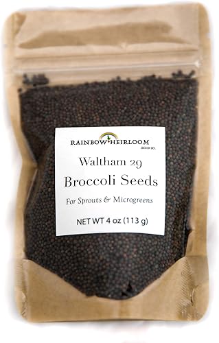 Miniatura 3 de Paquete variado de semillas germinadas y microverdes | Contiene 29 semillas de brote de brócoli Waltham, mezcla de semillas de brote de rábano