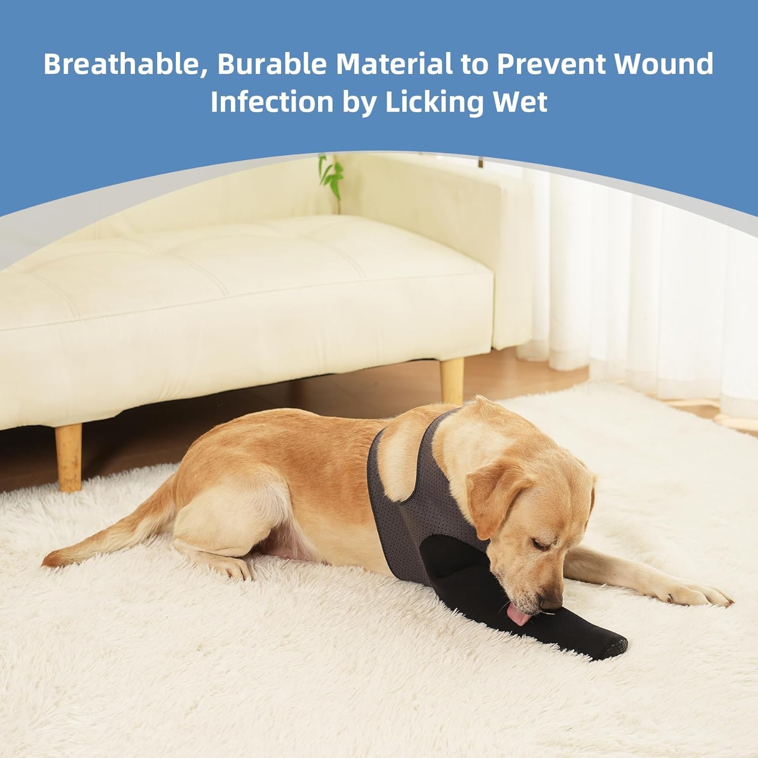 Dog Socks to Prevent Licking Paws ，Breathable Dog Leg Sleeve to Stop Licking and Biting， Firm and Secure Protect Wounds Dog Recovery Sleeve Socks (L-Left)