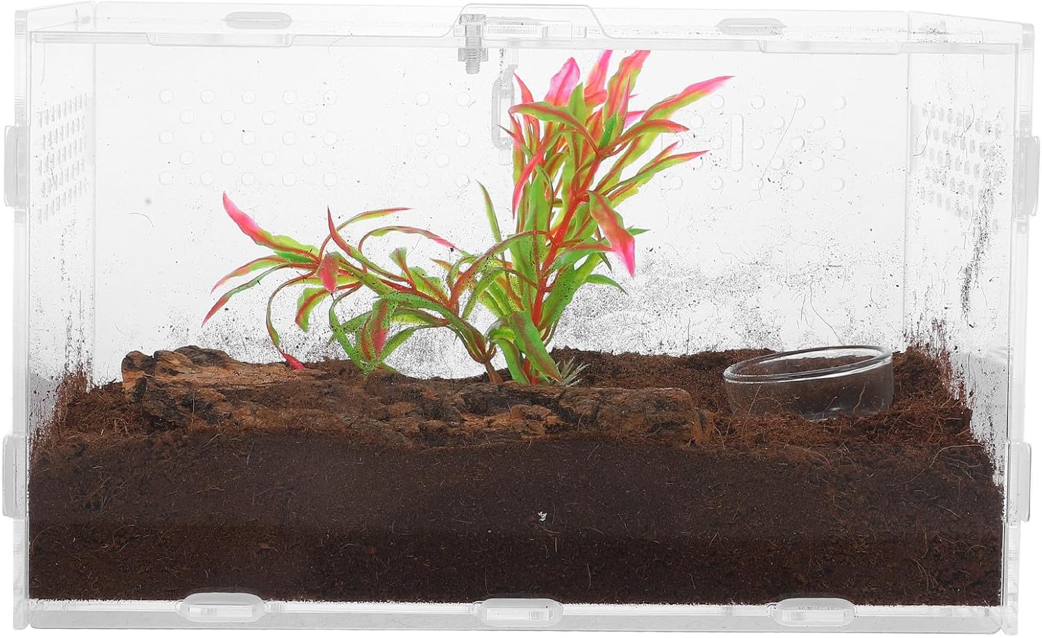 Reptile Terrarium Tank 25x15x15cm with 4pcs Accessory Set Acrylic Enclosure for Lizards, Tarantulas, Frogs and Small Amphibians Habitat