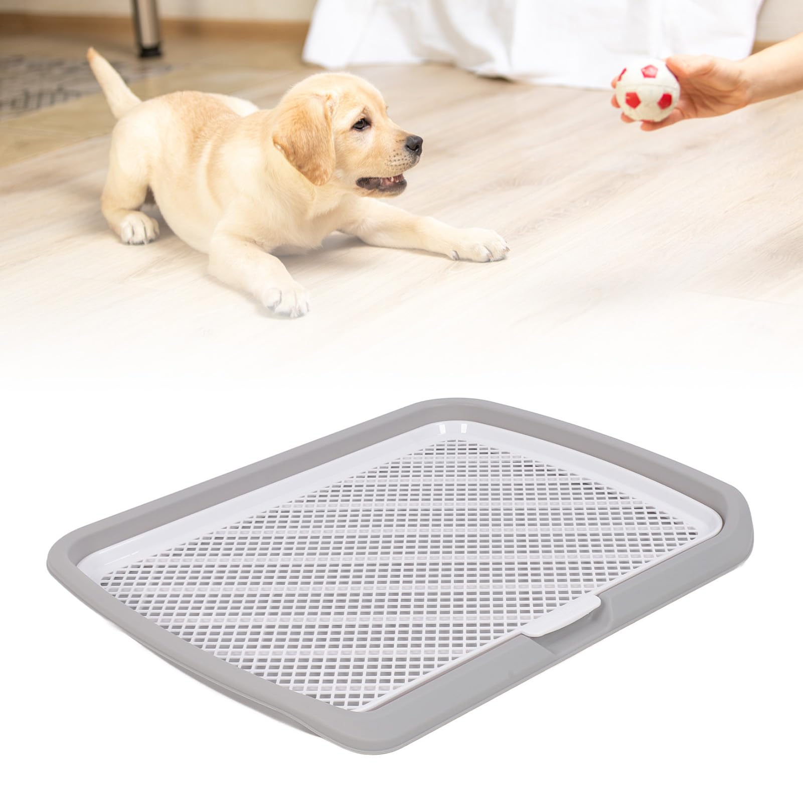 Chiot Potty Training Tray Détachable Lavable Maille Chien Pee Pad Titulaire Plateau pour Petite Race Chiens Intérieur Extérieur Utilisation Durable PP Polypropylène Matéri (Gris)