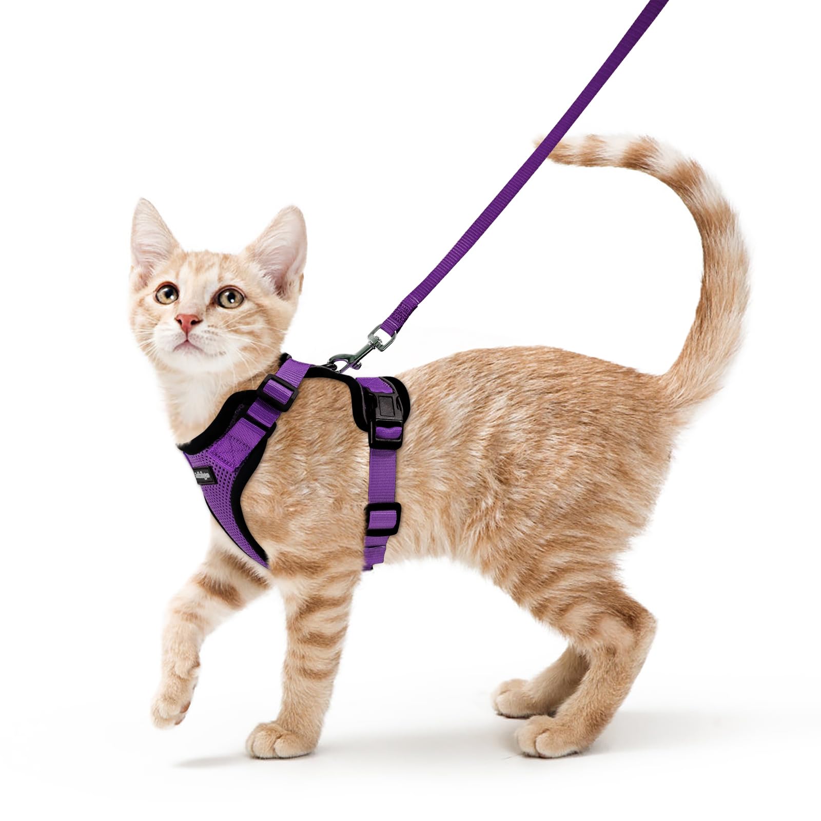 rabbitgoo Cat Harness and Leash for Walking, Escape Proof Soft Adjustable Vest Harnesses for Cats, Easy Control Breathable Reflective Strips Jacket,