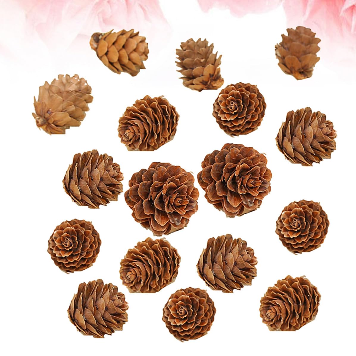 DOITOOL 210 Piezas Piñas Secas Naturales de 2-3 Cm para Adornos Navideños y Manualidades, Decoración para Árbol de Navidad y Acción de Gracias Forma Vegetal Auténtica