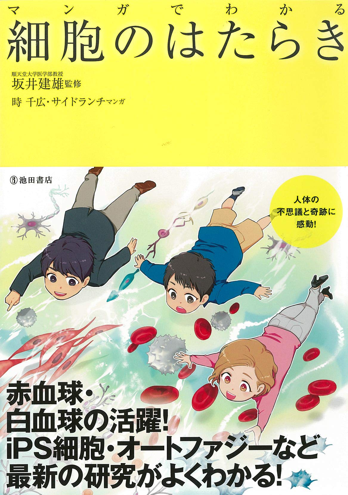 マンガでわかる 細胞のはたらき 坂井 建雄 時 千広 サイドランチ 本 通販 Amazon マンガでわかる 細胞のはたらき 坂井 建雄 時 千広 サイドランチ 本 通販 Amazon