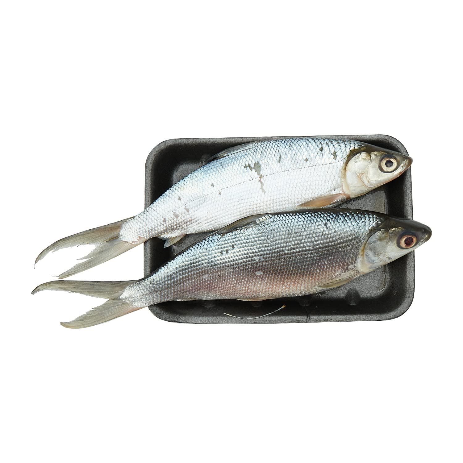 Defrosted Milk Fish Whole Cleaned 1 kg Approx.