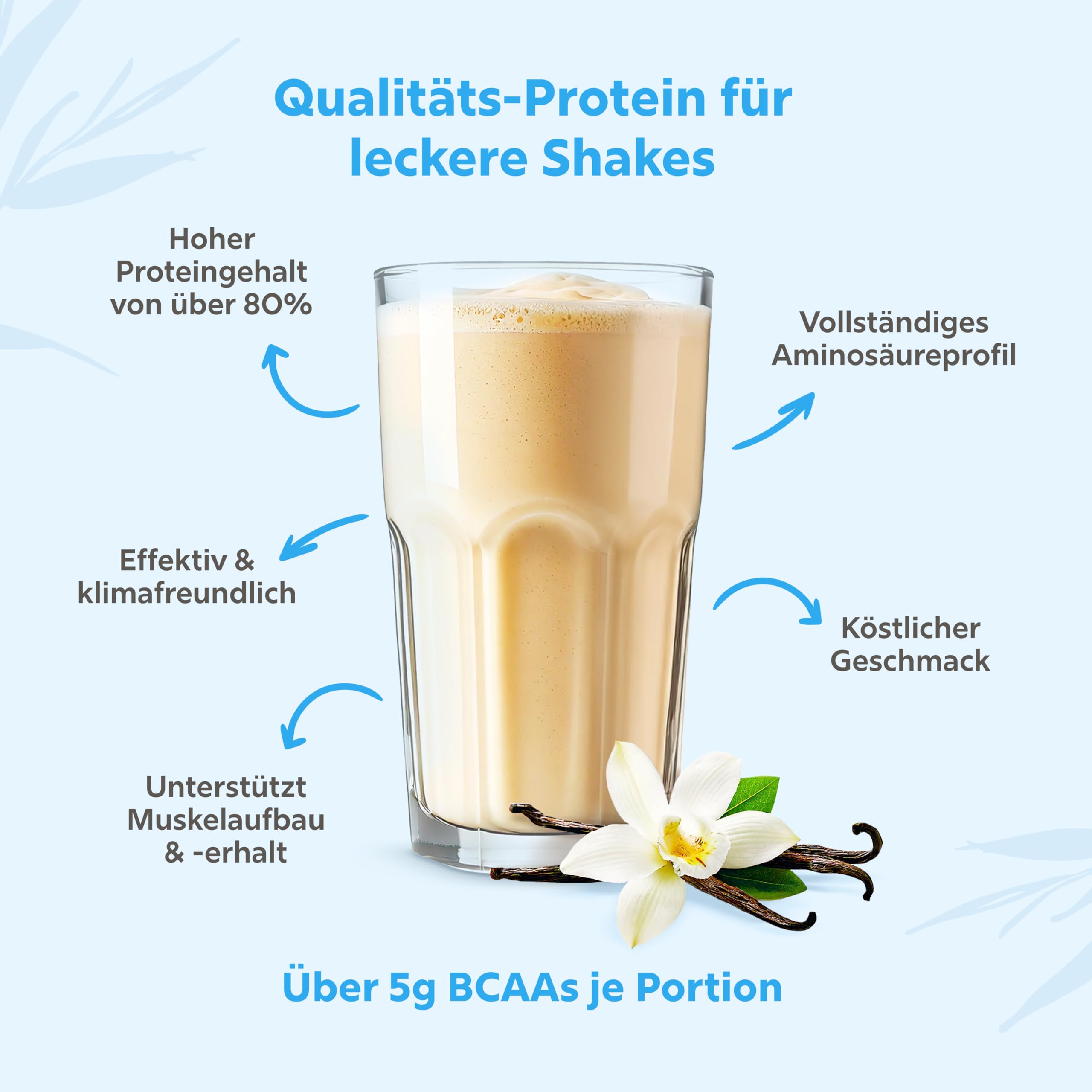 STRIVE Proteína vegana | Vainilla | 24 g de proteína por porción, calidad probada en laboratorio, perfil completo de aminoácidos de cinco fuentes de proteínas premium, 600 g de proteína en polvo