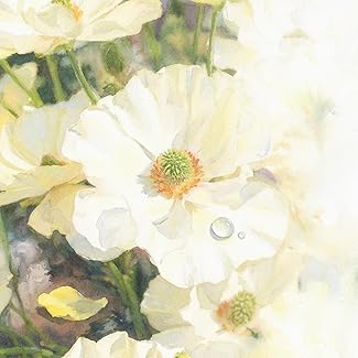 [Single] Novelbright – アネモネ [2026.01.26][MP3+Flac]