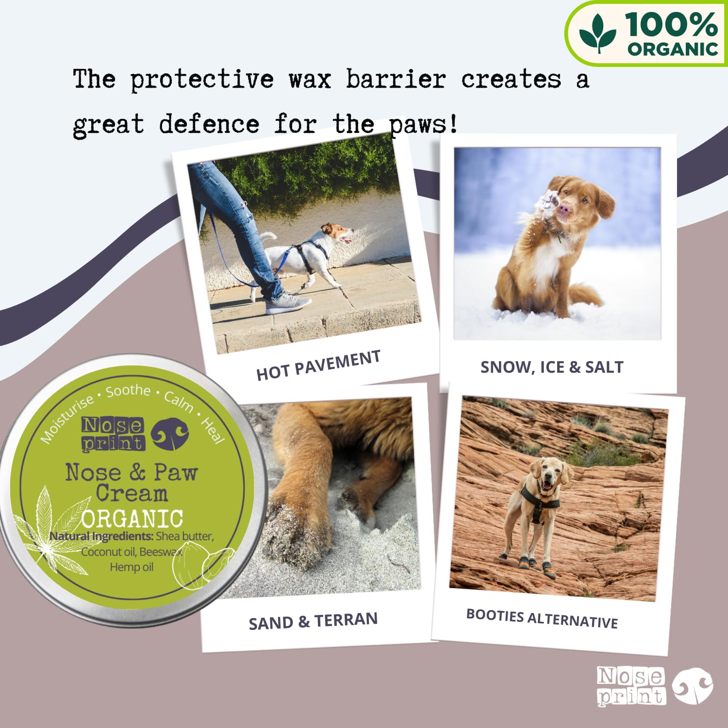 Baume bio 30 ml 100 % naturel pour nez et pattes de chien | Pour chiens hydratant hydrate et adoucit soulage les coussinets secs et craquelés (30 ml, 1), blanc