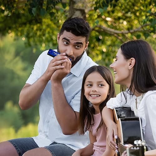 Miniatura 6 de UPINS Harmonica, 4 piezas Key of C Blues 10 agujeros 20 tonos titanio color armónica con estuche paño de limpieza para principiantes estudiantes