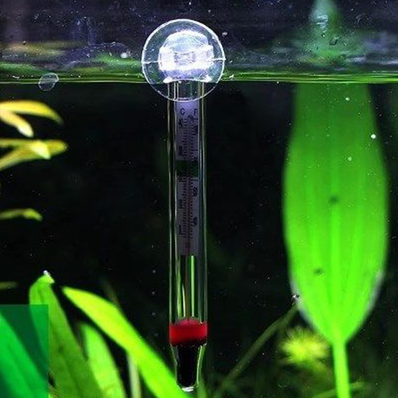 Termometr do akwarium – precyzyjny termometr cyfrowy, wyraźny, bezprzewodowy wyświetlacz, akcesoria do akwarium, łatwy do odczytania monitor z wyraźnym wyświetlaczem, do gadów słodkowodnych, wewnątrz