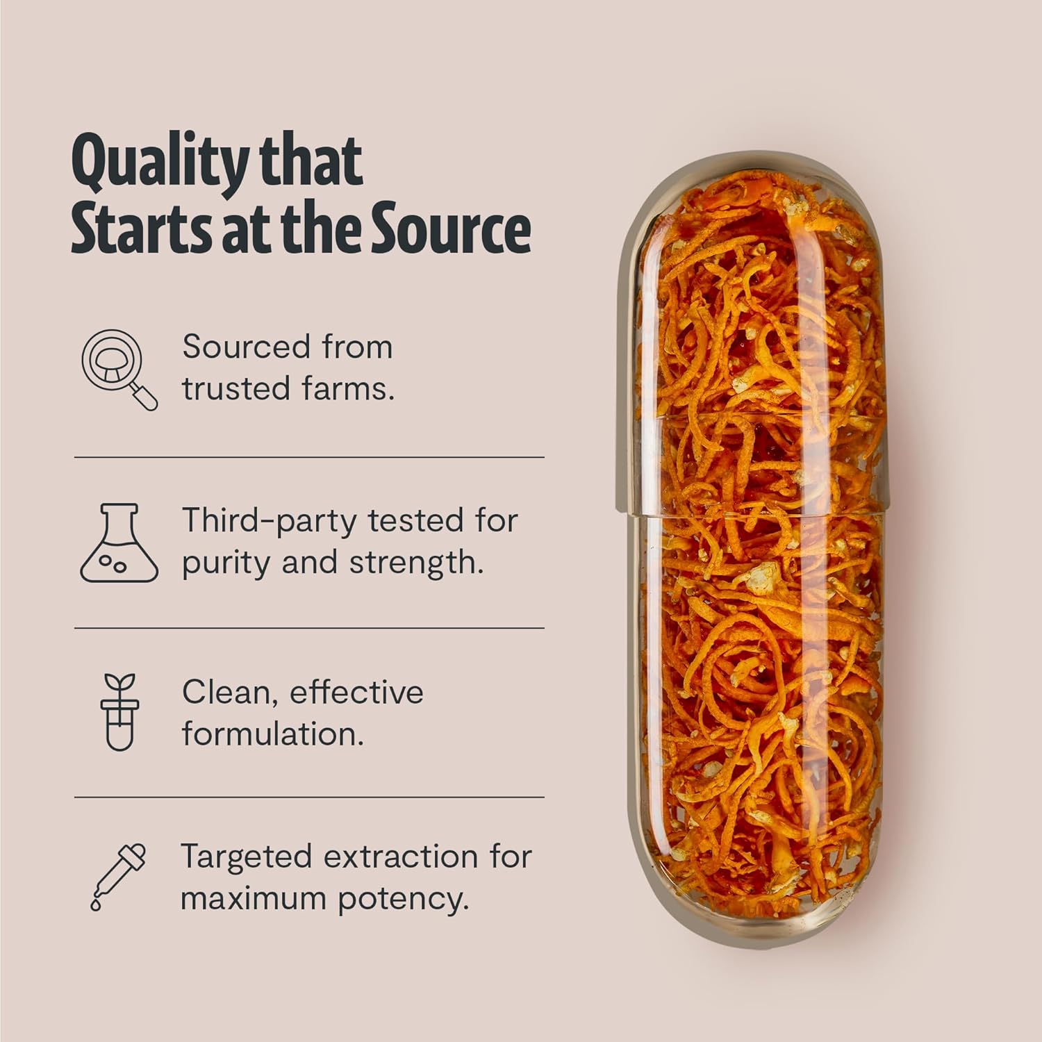 FreshCap Mushrooms Cordyceps Mushroom Capsules 10,000mg - Mushroom Extract, Energy Supplements, Ayurveda Nootropic Mushroom Supplements (120 Capsules) - Image 6