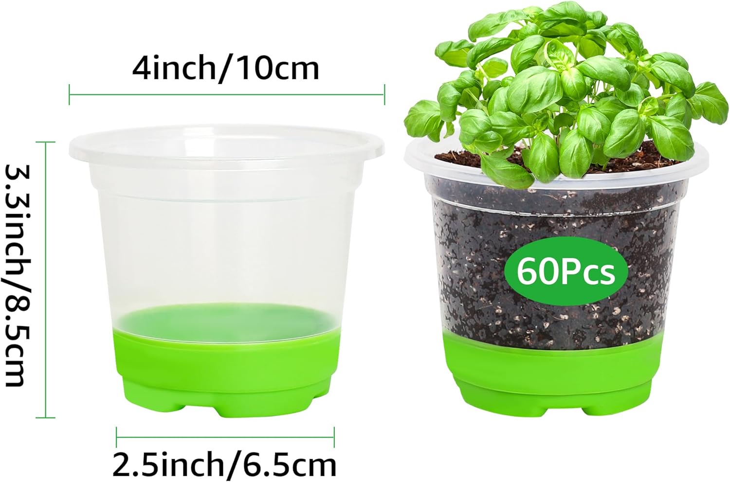 MIXC Thickened Clear Nursery Pots with Silicone Base for Easy Transplant 60 Packs 4 Inch, Transparent Plant Pot Reusable Seedling Pots for Vegetable Propagation, Root Cutting, Seed Starting, Green - Image 2