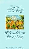 Blick auf einen fernen Berg - Dieter Wellershoff