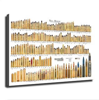 Gun Bullet Caliber Guide Canvas Poster Holiday Gift HD Picture Modern Aesthetics Mural Wall Art Decoration (Unframed,08×12inch)