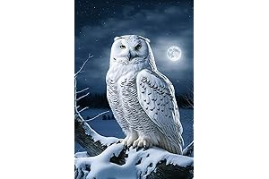 Challenging Owl Puzzle for Adults: 1000 Exquisite Pieces