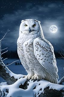 Framable 1000 Piece Classic Jigsaw Puzzle - White Owl Luxurious Wood Rounded Corner Puzzle - Beautiful Package - Home Decor - Best Gift for Adults