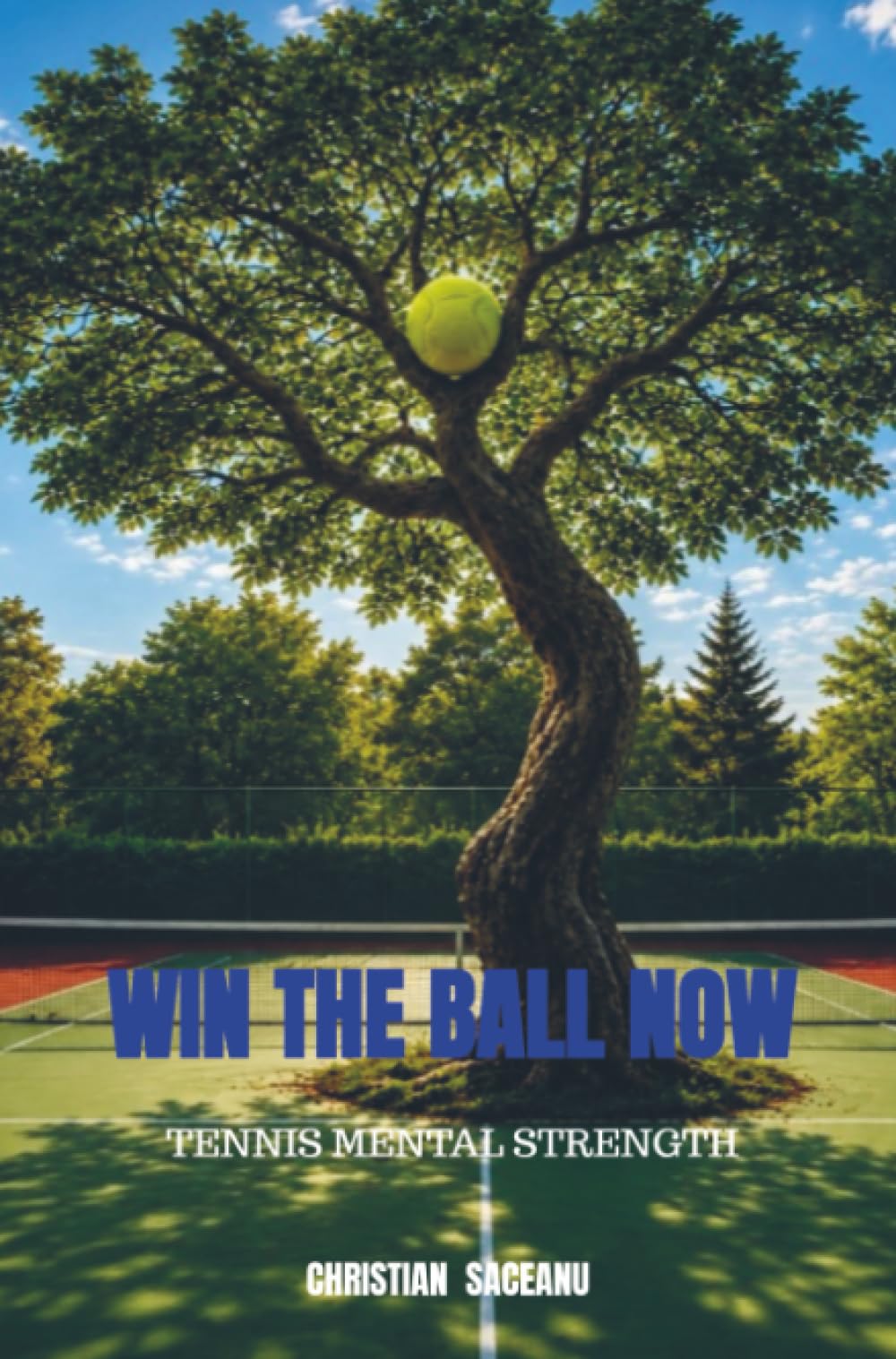 WIN THE BALL NOW: TENNIS MENTAL STRENGTH