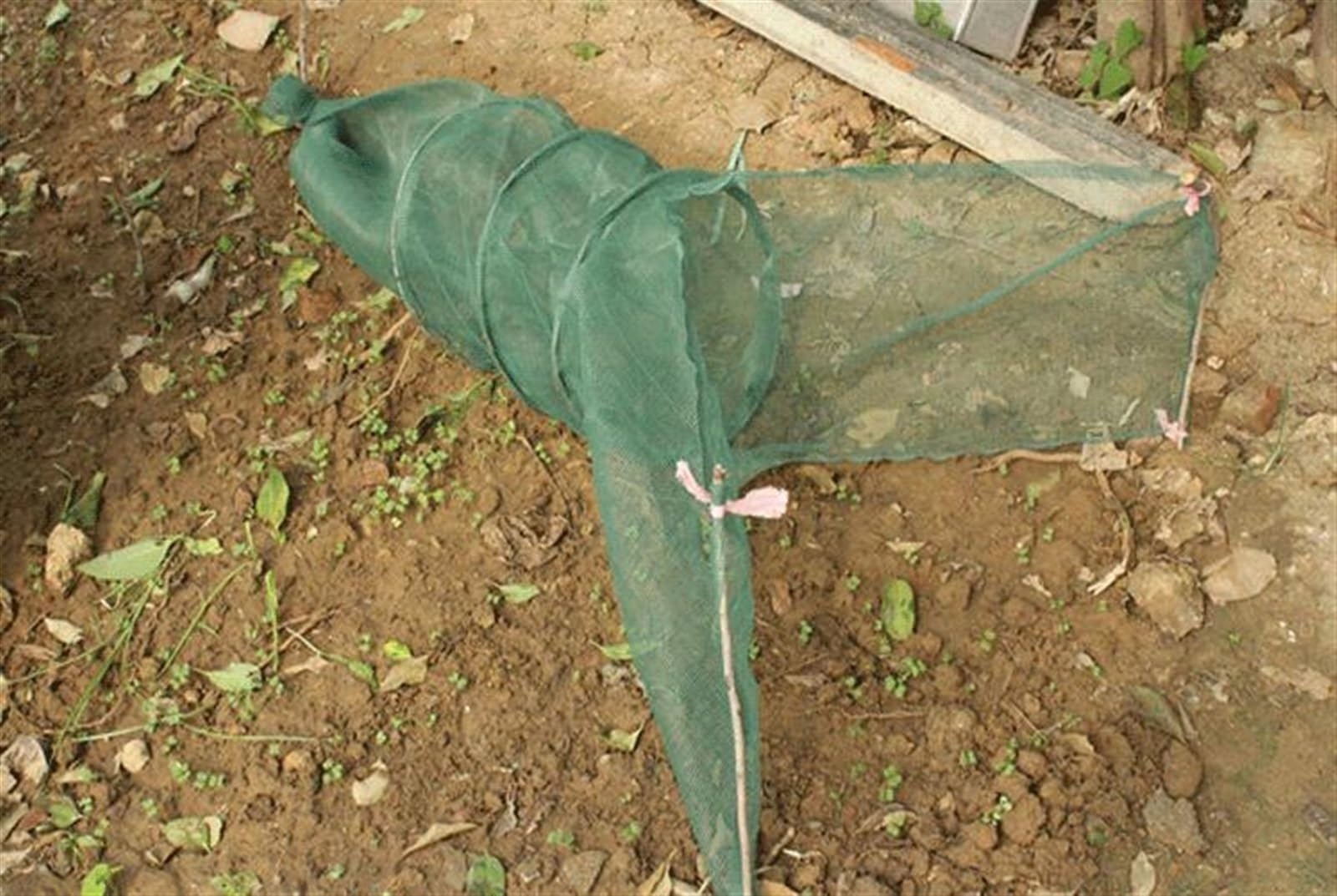 Red De Pesca Pesca automática Plegable Cangrejo de Cangrejo de Cangrejo de Cangrejo de Langosta Pesca Pesca Minnow Bait Landing Net Catch Pesca Red Trampa de la Trampa Lure Red De Pesca PortáTil