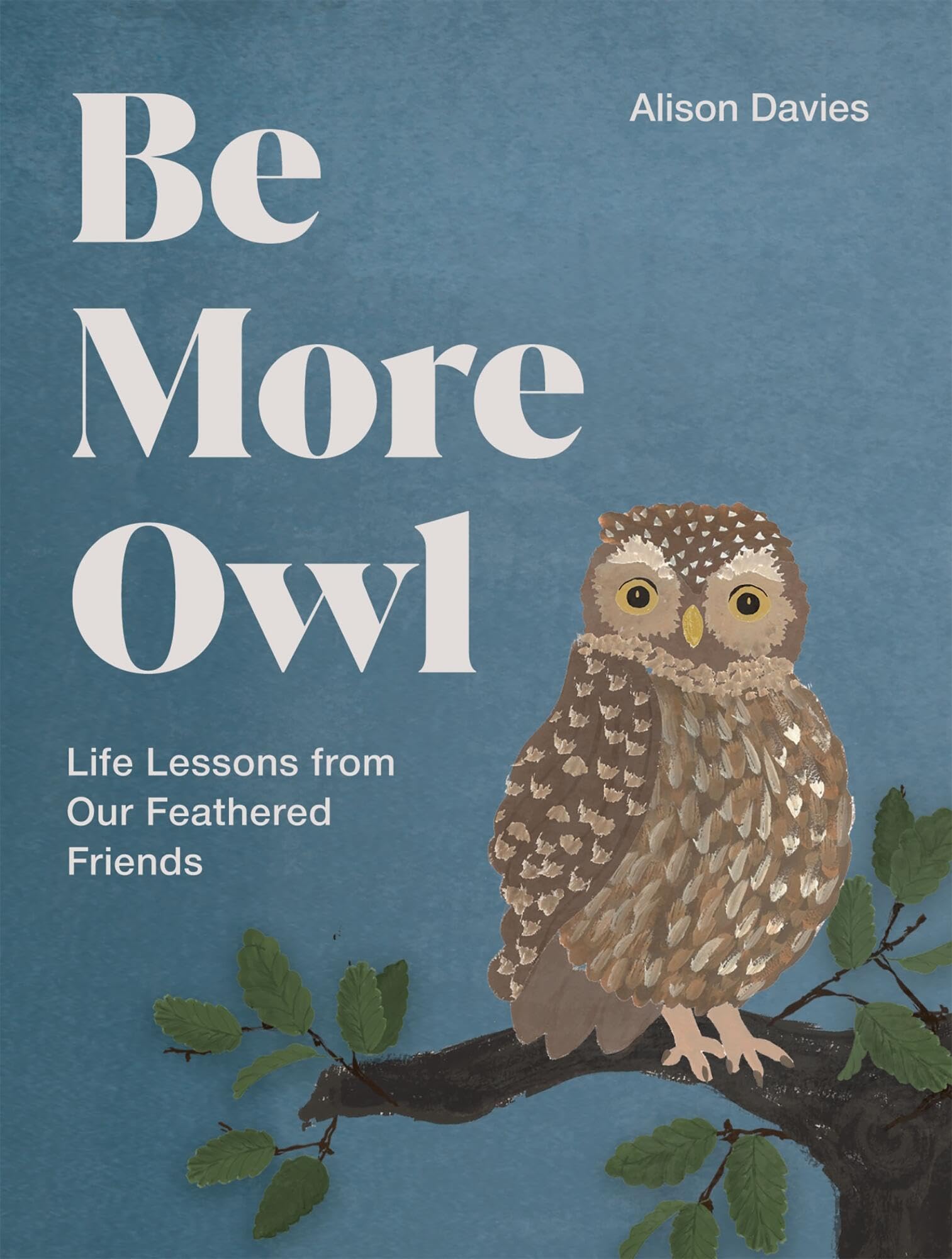 Alison Davies Be More Owl Hardback Book