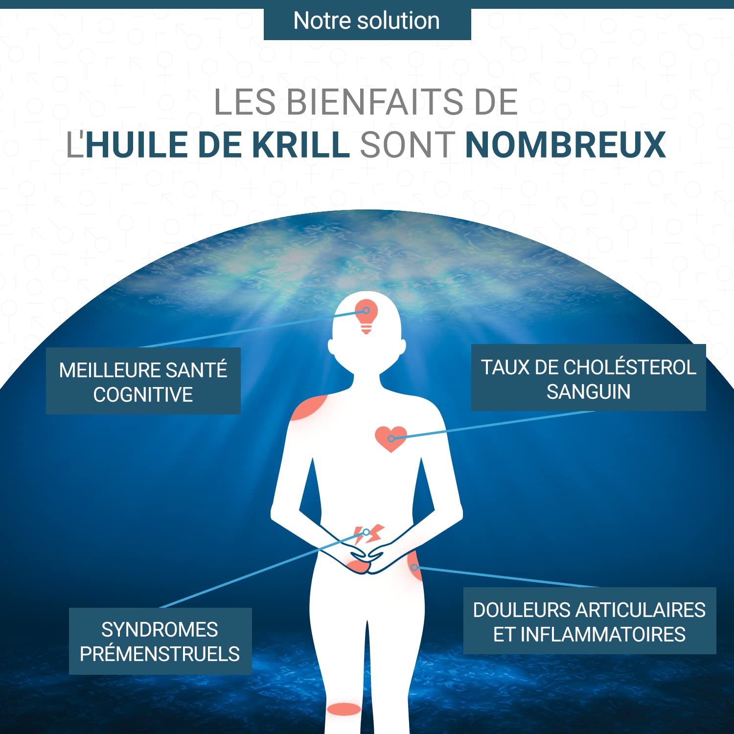 ALPX - Oméga 3 Krill - Complément Alimentaire à Base d'Huile de Krill - 60 Capsules - Fait en Suisse