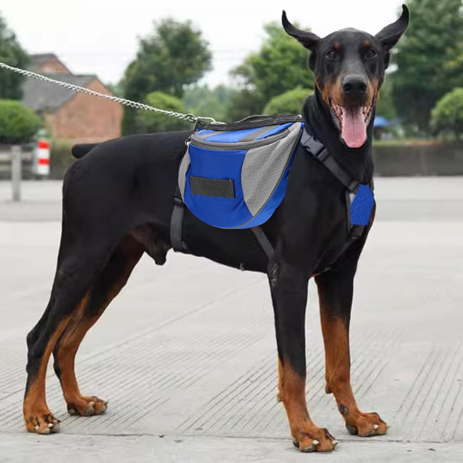 Cyrank Dog Backpack Harness, Travel Camping Dog Saddle Bag Dog Hiking Backpack with Reflective Strip Dog Hiking Stuff for Small Medium Large Dog(M)