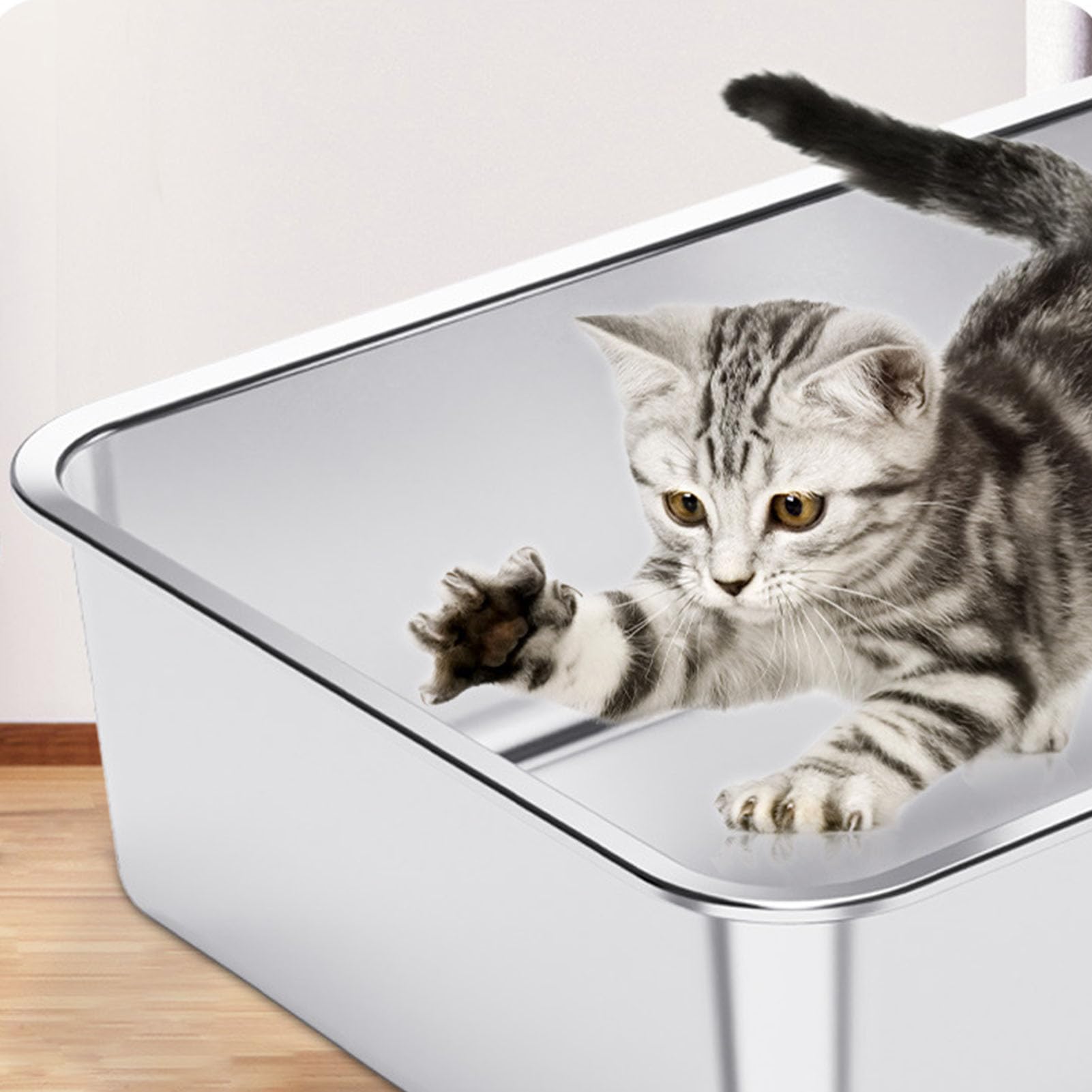 Dpofirs Lettera per Gatto in Acciaio Inox, Aprile Superiore, Extra Large