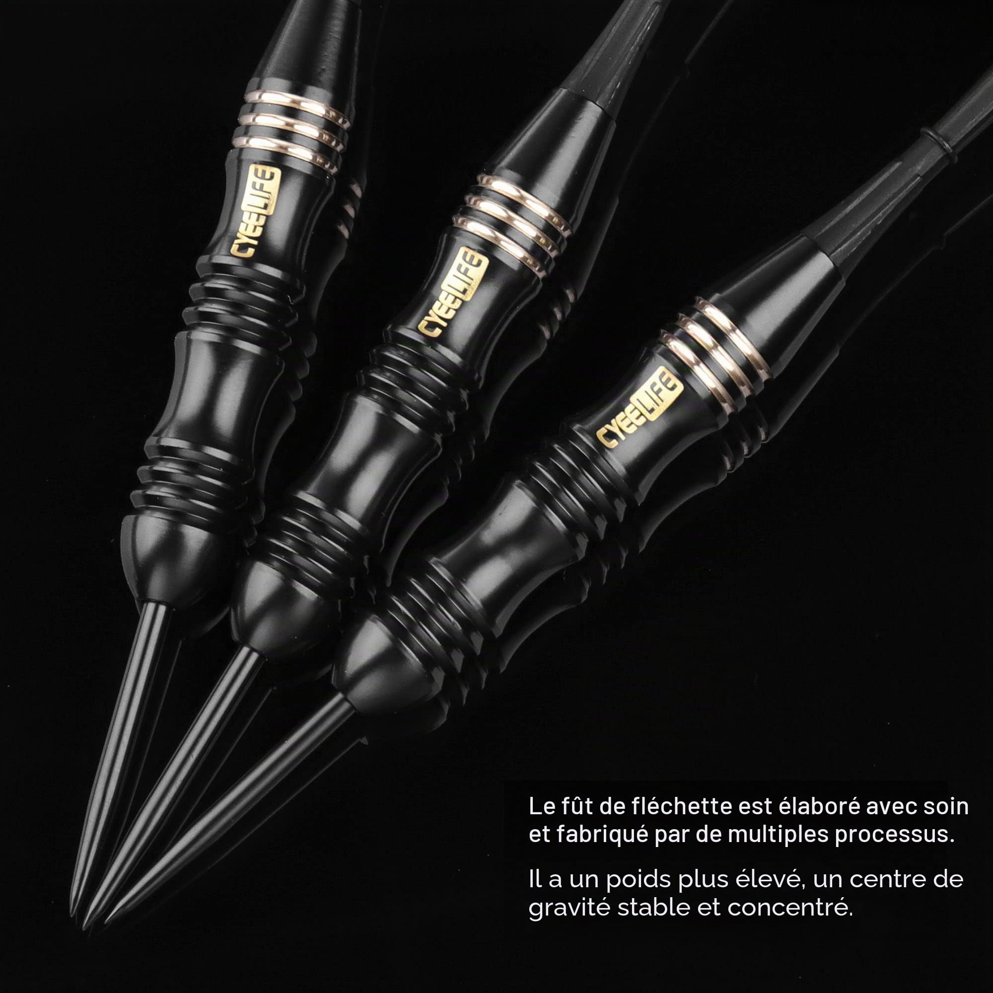Flechette Pointe Acier 24g avec Boîte de manutention