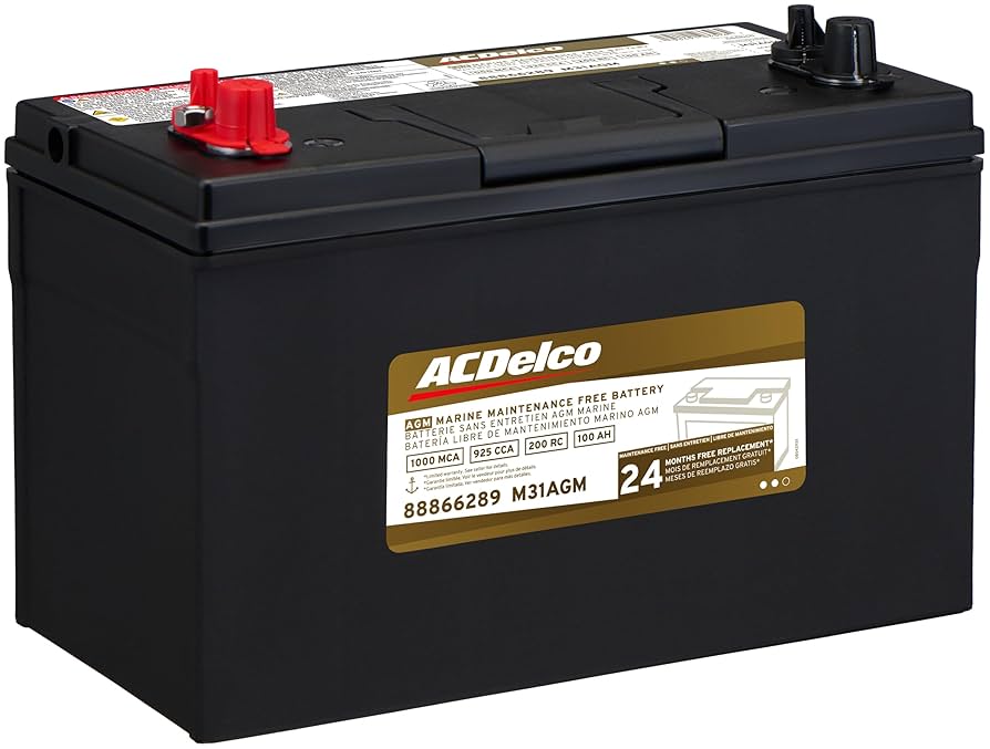 Amazon.com: ACDelco Gold M31AGM (88866289) 24 Month Warranty