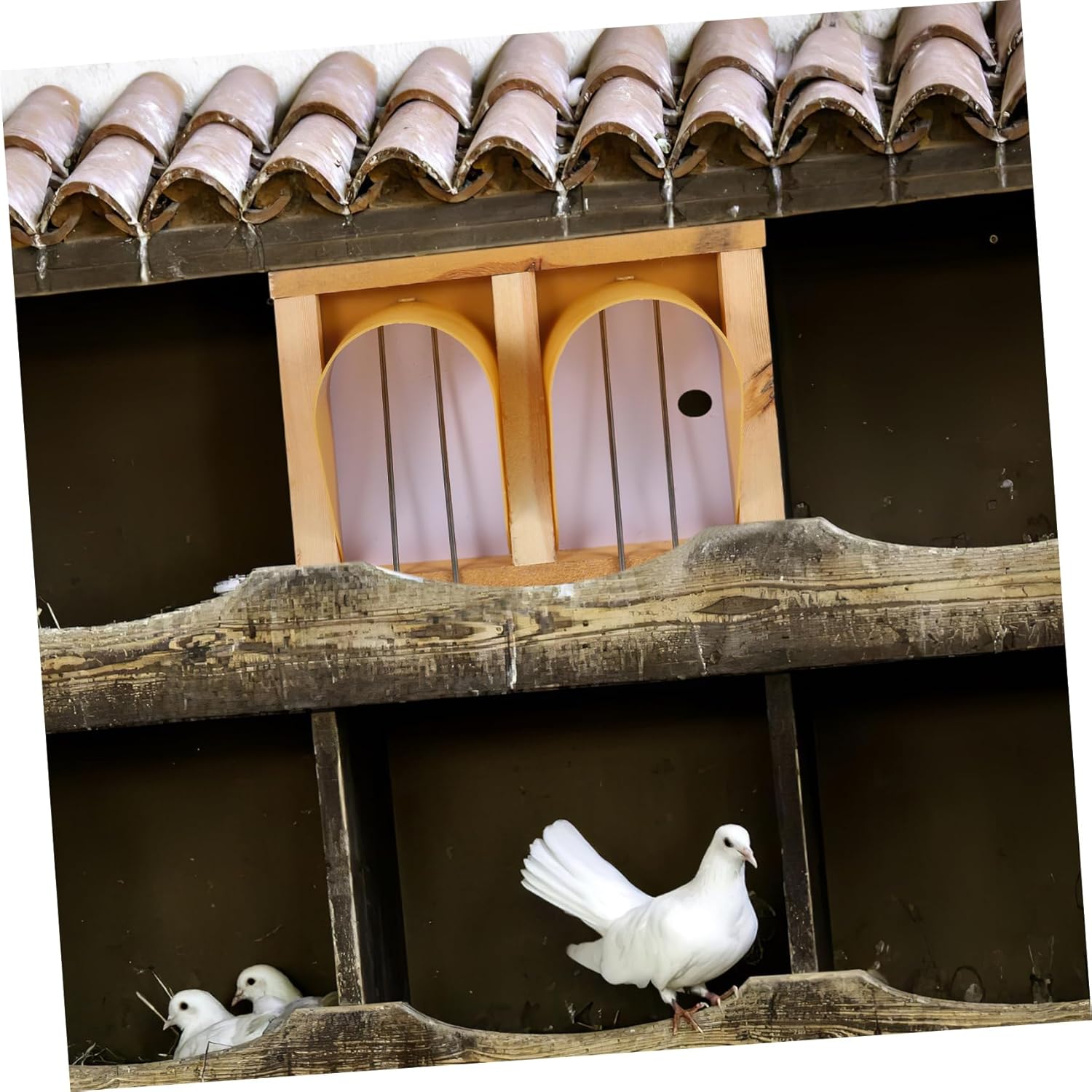 YARNOW Elegant European Style Bird Cage Door Pigeon House Entrance Pigeon Racing Accessory