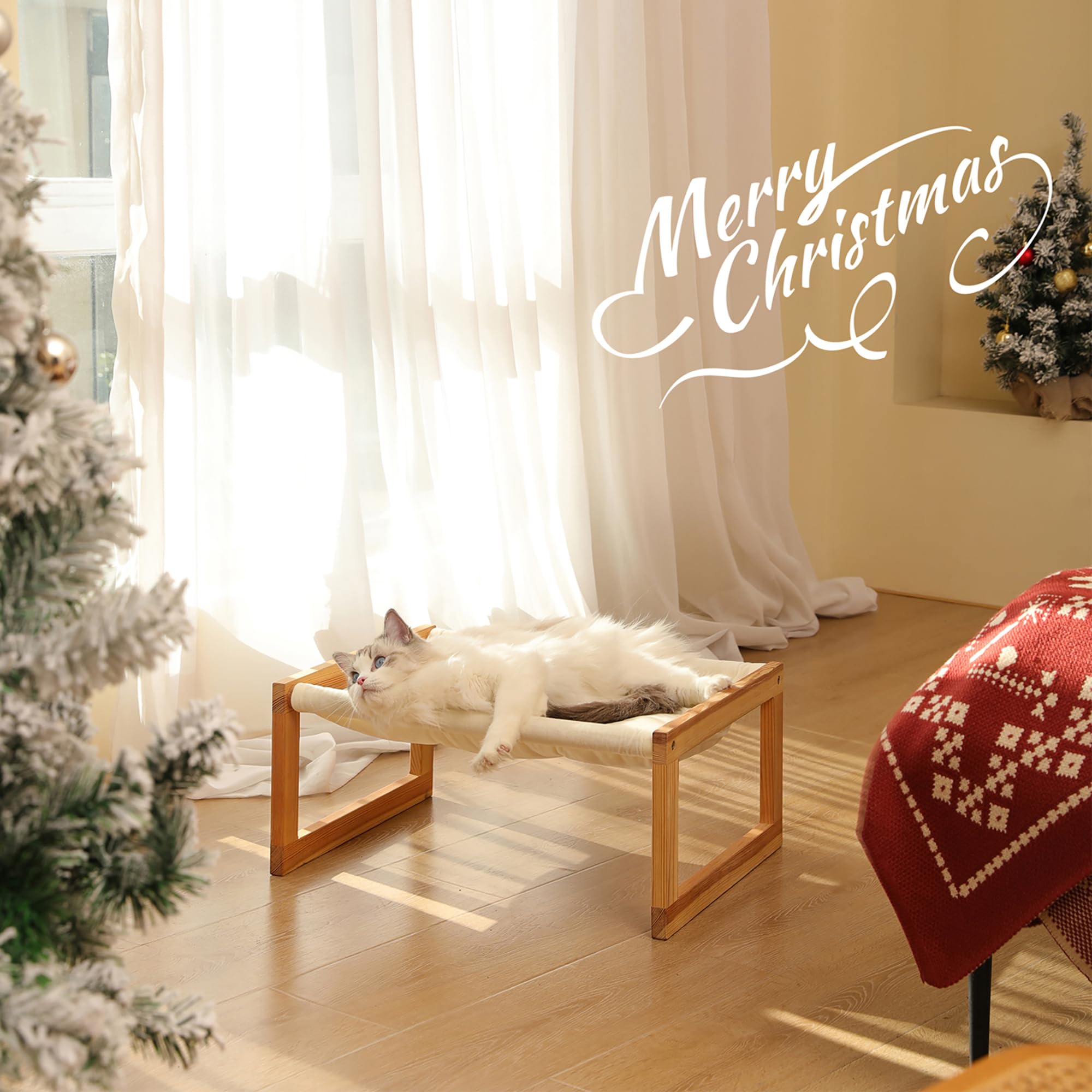 FUKUMARU Lettino Per Gatti Rialzato, in Velluto Felpato per Gatti Interni, Amaca per Gatti con Struttura in Legno Massiccio, 50 x 40 cm, Adatto per Gatti, Cane. Tessuto Lavabile.