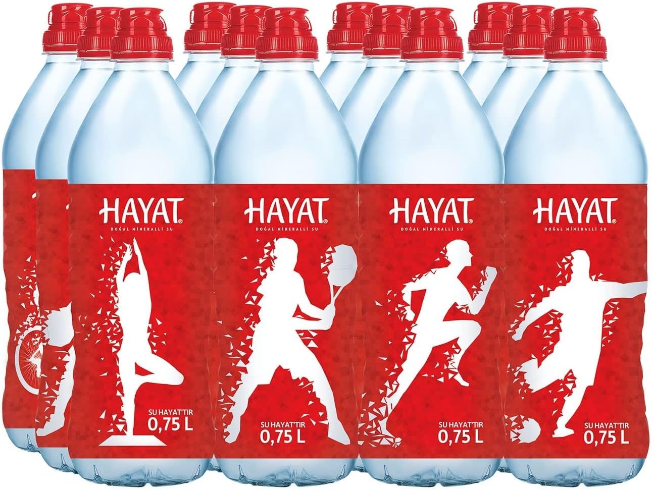 Hayat Sporcu Kapak Su 12x750 ml