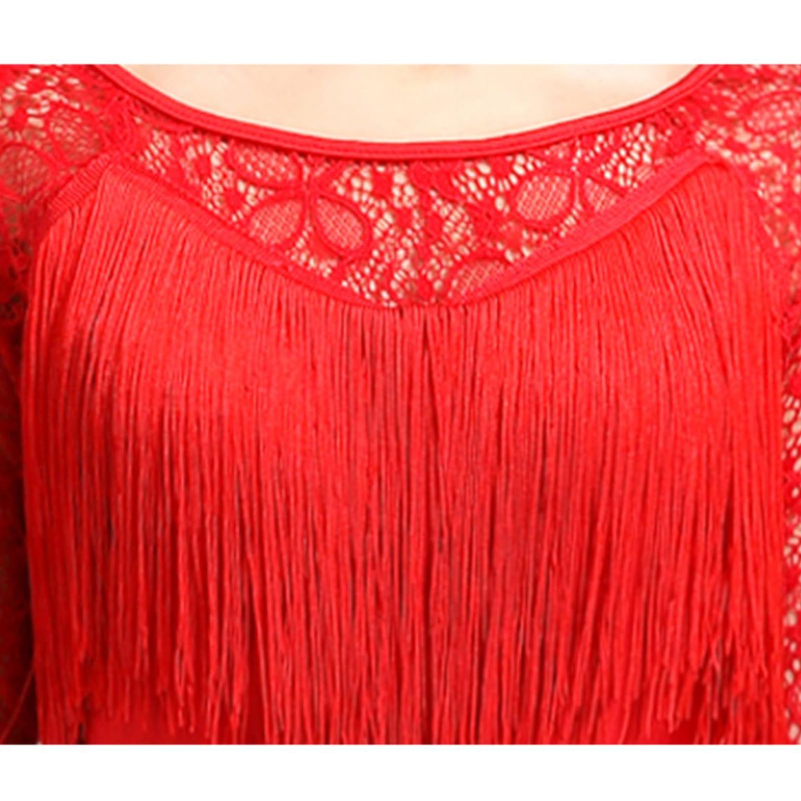 Lateinisches Tanzkleid Damen Fransen Latein Tanzkleider Für Frauen Latein Turnierkleid Ballsaal Rückenfrei Salsa Samba Rumba Chacha Kostüm Geschenke Für Frauen