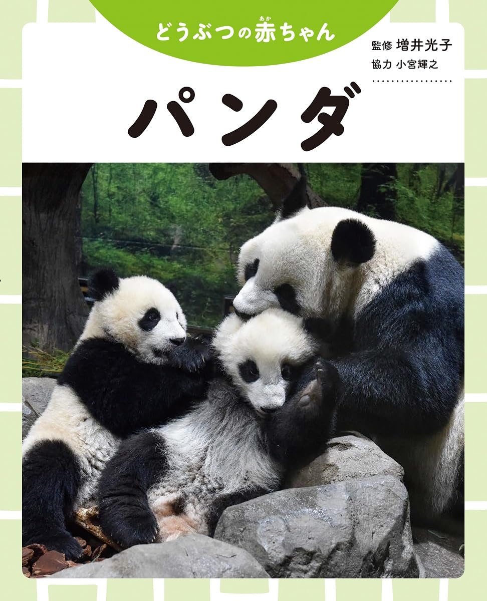 【絶版・希少】せかいのパンダ トントンのおともだち　増井光子　解説 7147XLhWhsL.jpg