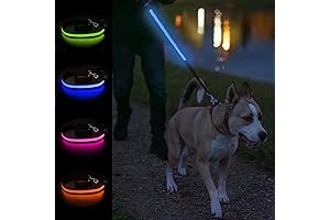 Balk Pets Lighted Dog Leash: Brighten Nighttime Walks for Enhanced Safety