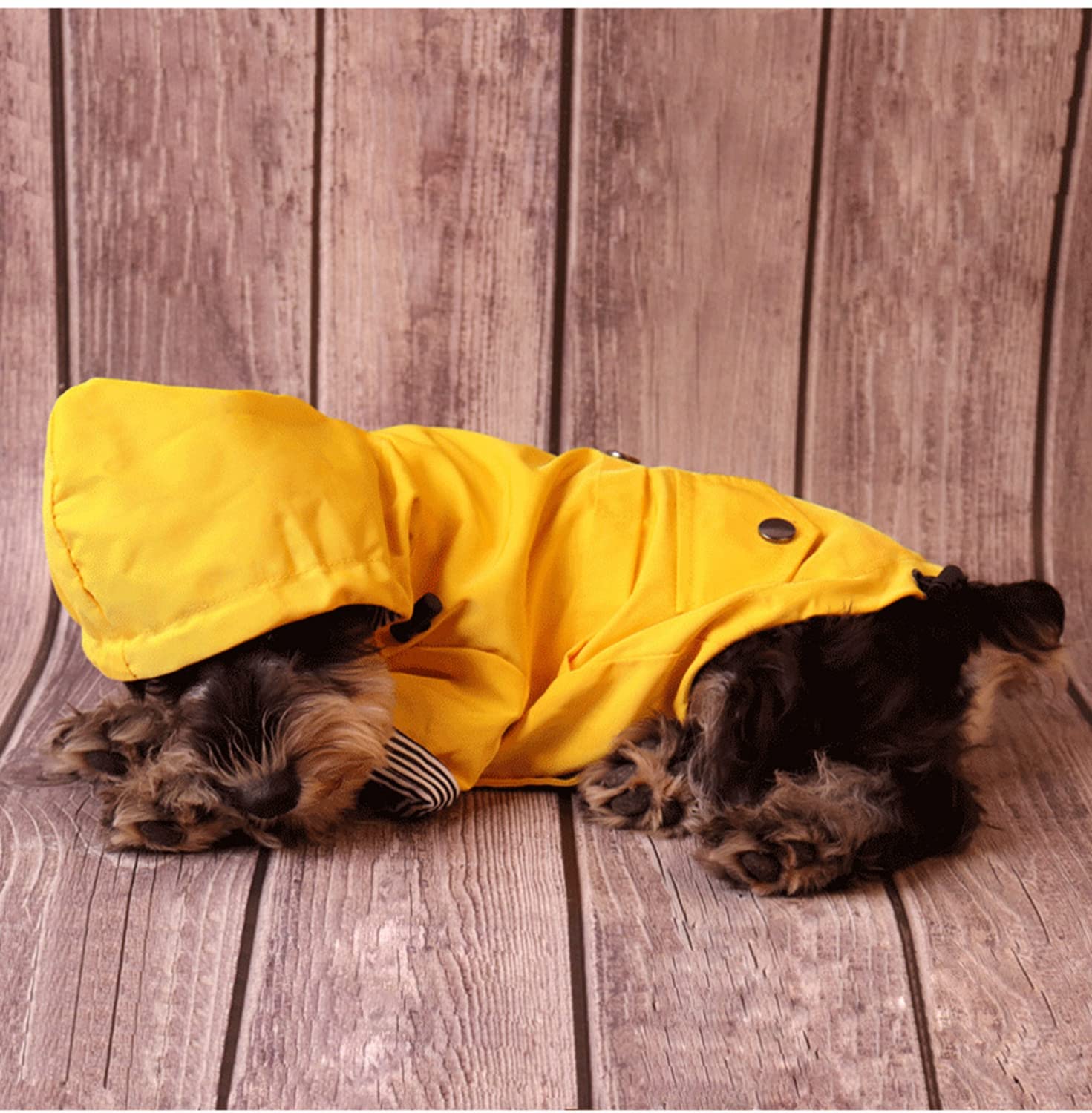 Skateboard Frog Veste de pluie pour chien avec fermeture éclair – Manteau de pluie résistant à l'eau – Élégant pour chien (taille L, jaune)