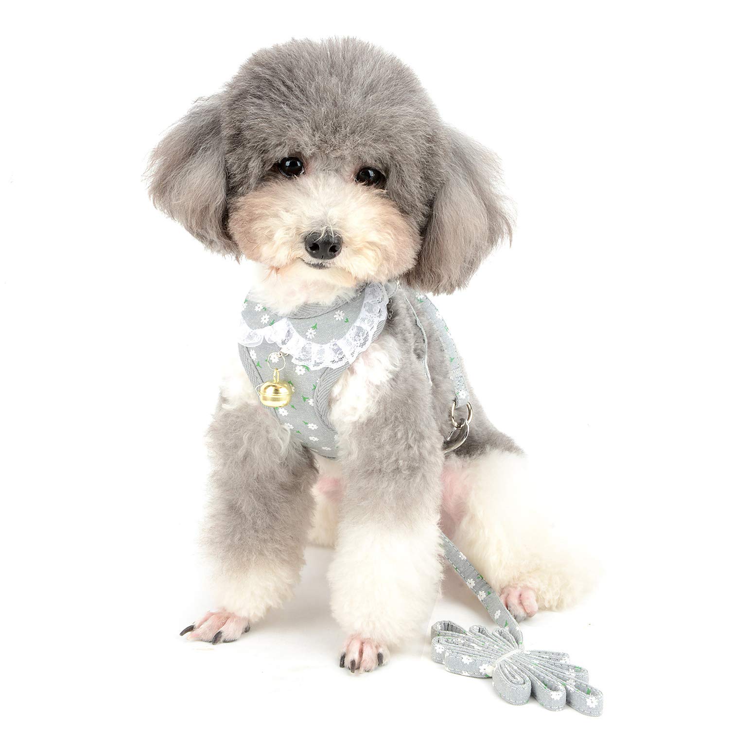 Ranphy Small Dog Harness and Leash Set Escape Proof Cat Harness with Bell Puppy Breathable Lace Collar Harness Mesh Padded Vest Adjustable Soft Pet Walking Training Collar Gray S