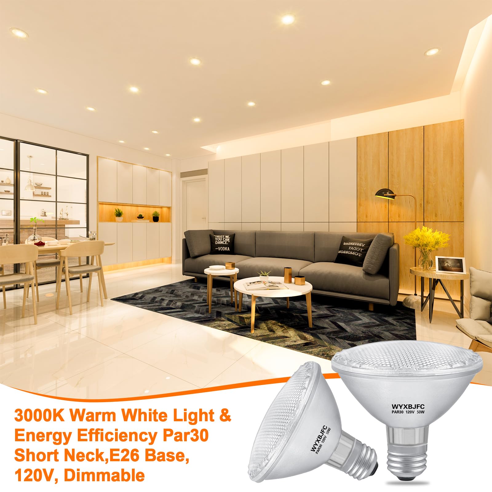 PAR30 halogen bulb in living room recessed ceiling light