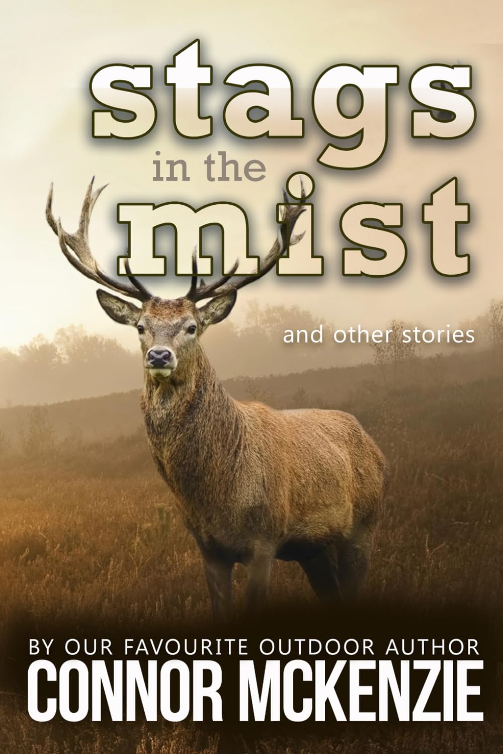 Stags in the Mist: Short stories about hunting in New Zealand (Right Place, Wrong Time)