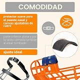Ver la foto 5
