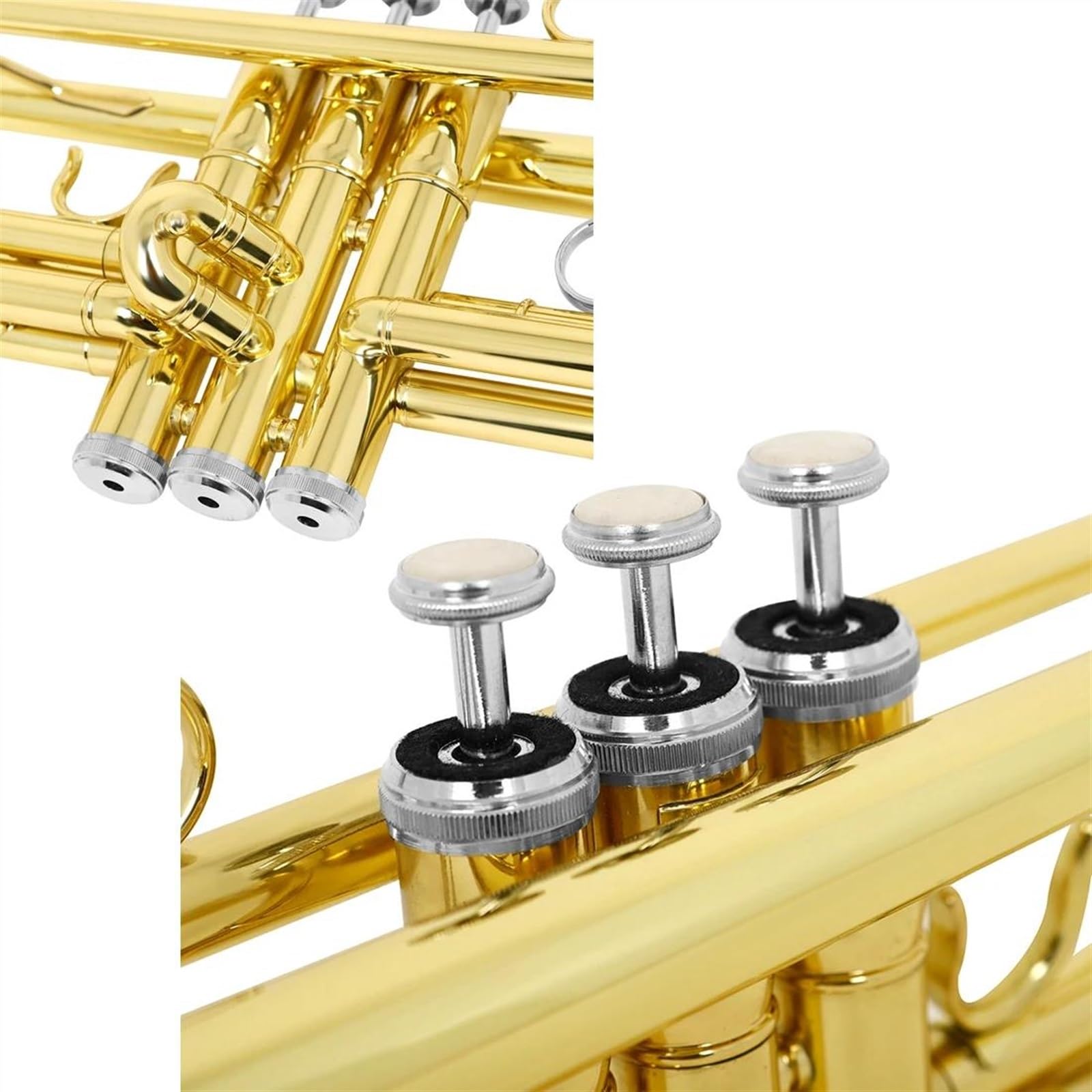 Amazon.co.jp: Rumpet Gold Bb Standard Trumpet Set Brass Student