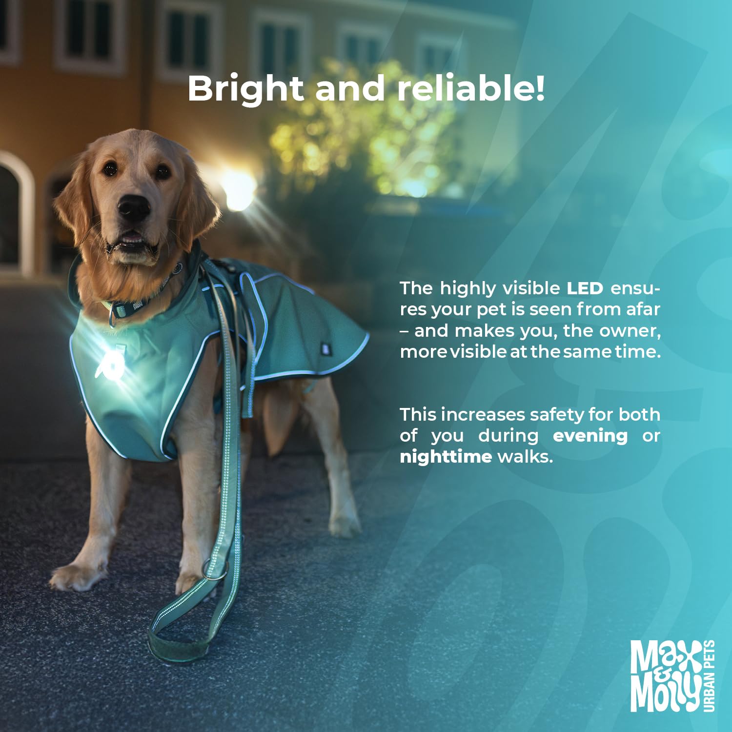 Max & Molly Matrix 2.0 Ultra LED, Lampe LED pour harnais, laisse et collier de chien, Noir, Étanche, Rechargeable par USB, Attache lumineuse pour chien pour plus de sécurité