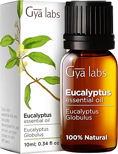 Gya Labs Eucalyptus Essential Oil 10ml - 100 Pure Therapeutic Grade Eucalyptus Oil Essential Oils for Diffuser Skin Humidifier Sinus  Hair