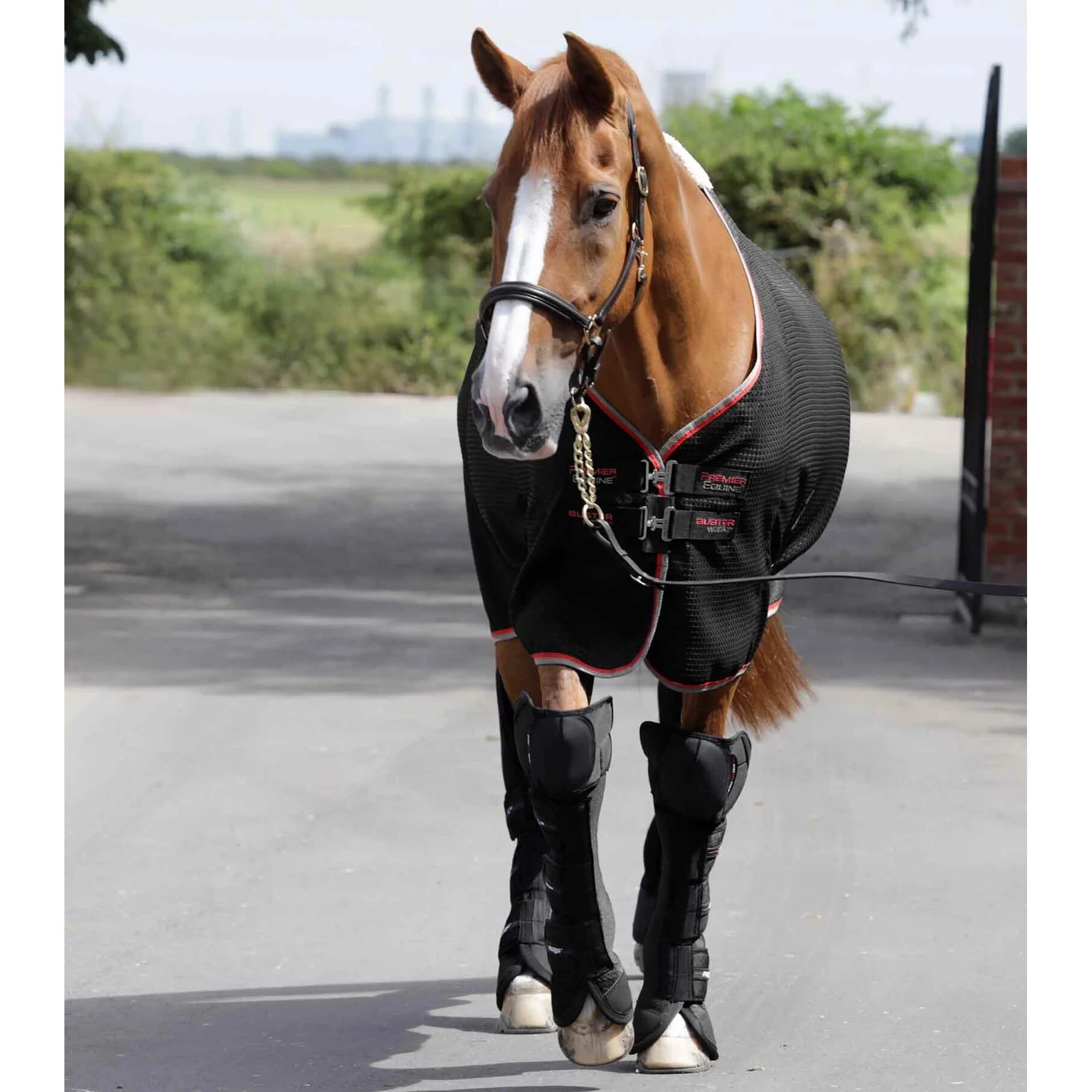 Premier Equine Botas de Transporte para Caballos Airtechnology