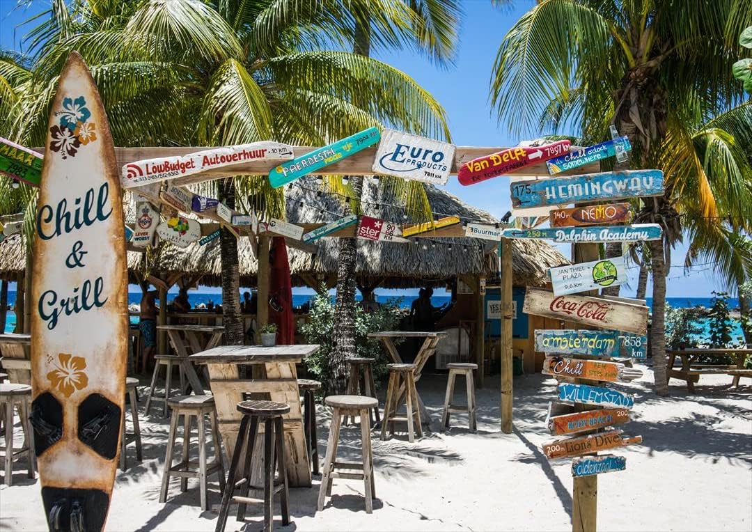 ポスター シール式ステッカー 515 728 B2 ヤシの木 ハワイ サーフ 写真 フォト 壁 壁紙インテリア おしゃれ 剥がせる 飾り ウォールステッカー Igsticker Wall Sticker Poster 新作