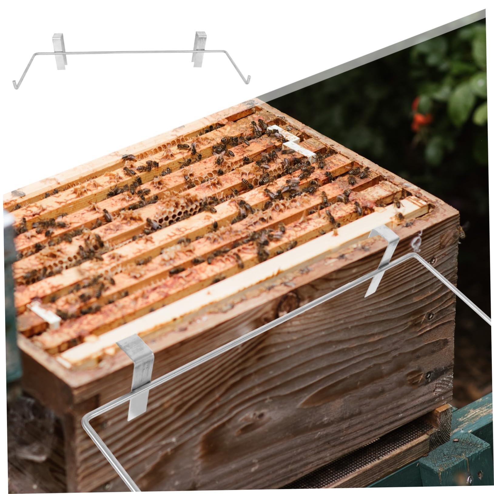 BESPORTBLE 2pezzi Per Telai Apicoltura Accessorio Per Allevamento Stabile e Resistente Per Alveari