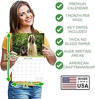 Vista 334 de Razas de Perros 2017